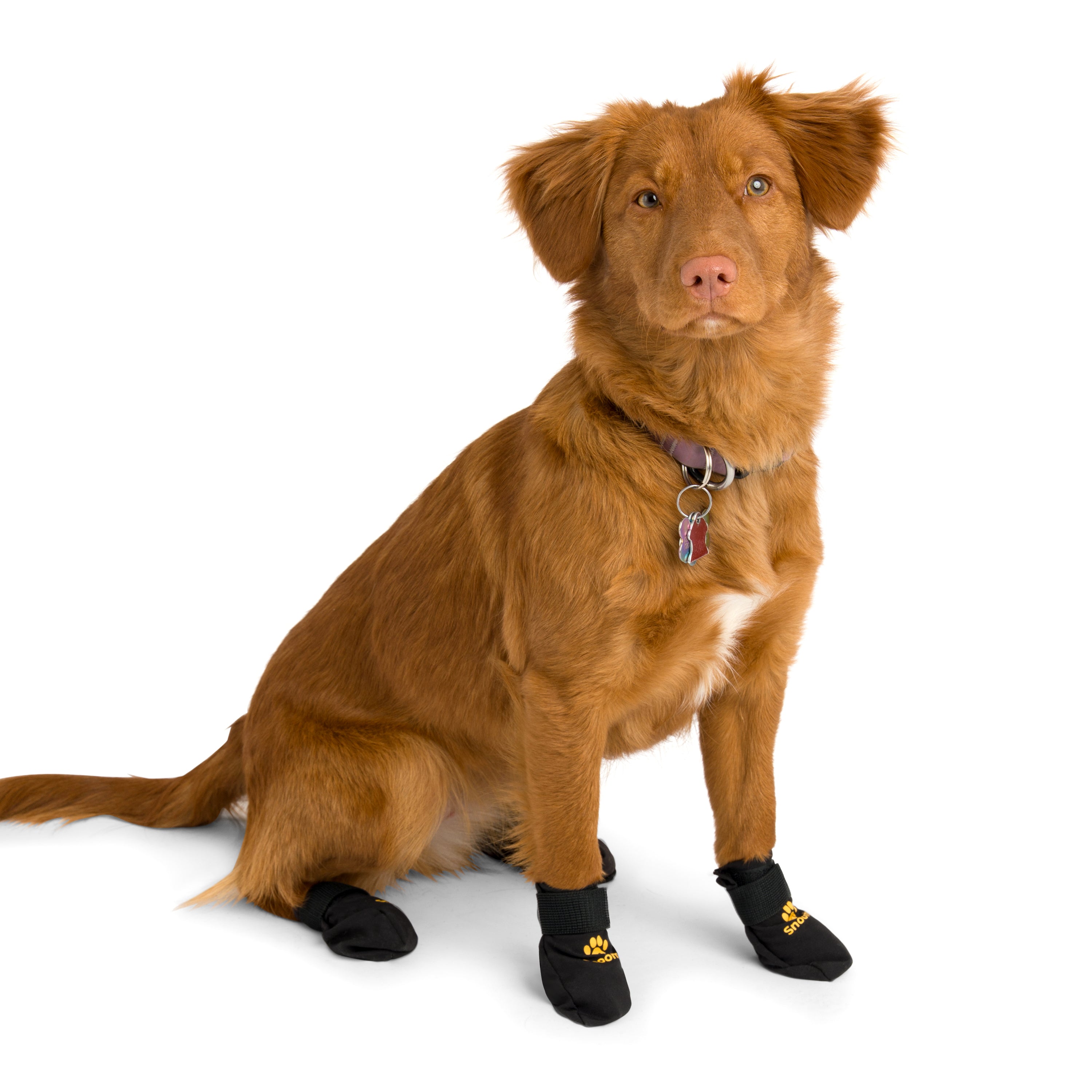The Original Booties | Snoomiez Dog Boots